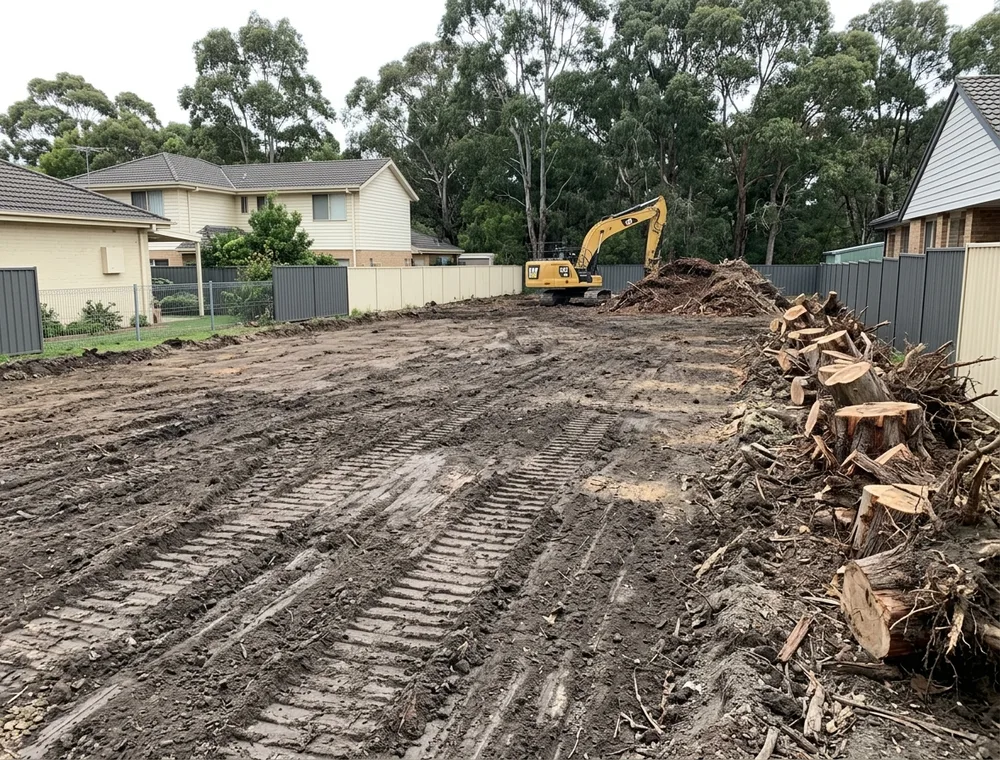 Cleared block with cut stumps lined up ready for loading